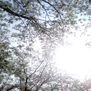 亚洲欧美在线综合
